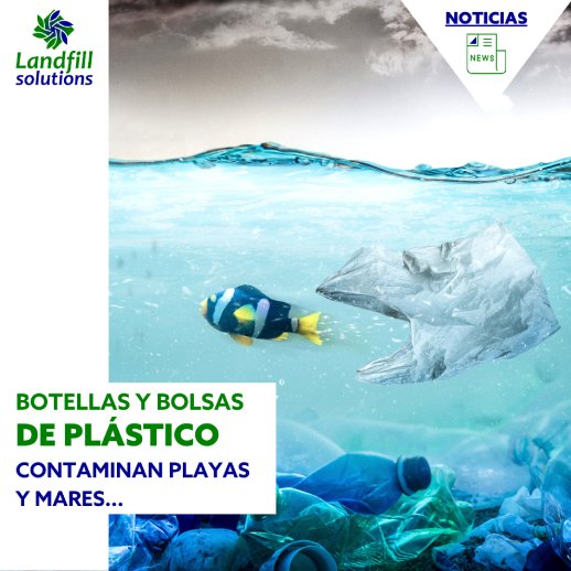 Botellas y bolsas de plástico contaminan mares y playas