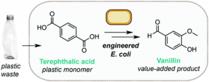 sintesis-microbiana-de-PET-en-vanilina