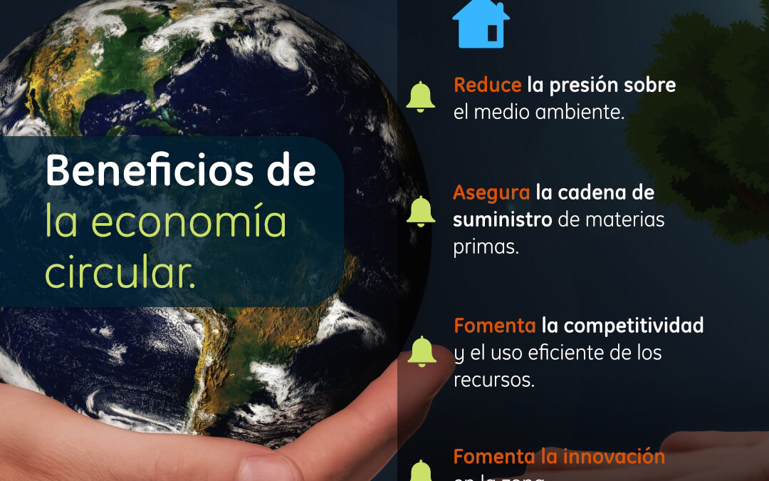Economía circular: qué es, cómo funciona y beneficios