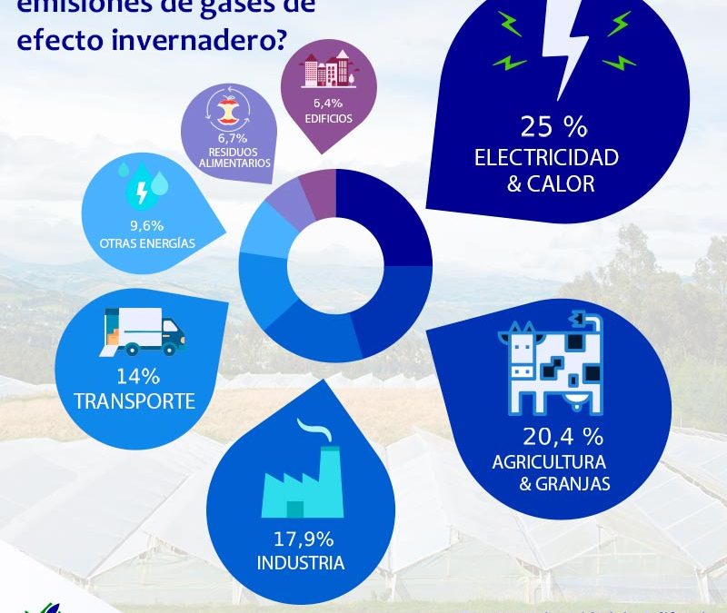 ¿De donde proceden las emisiones de gases de efecto invernadero (GEI)?