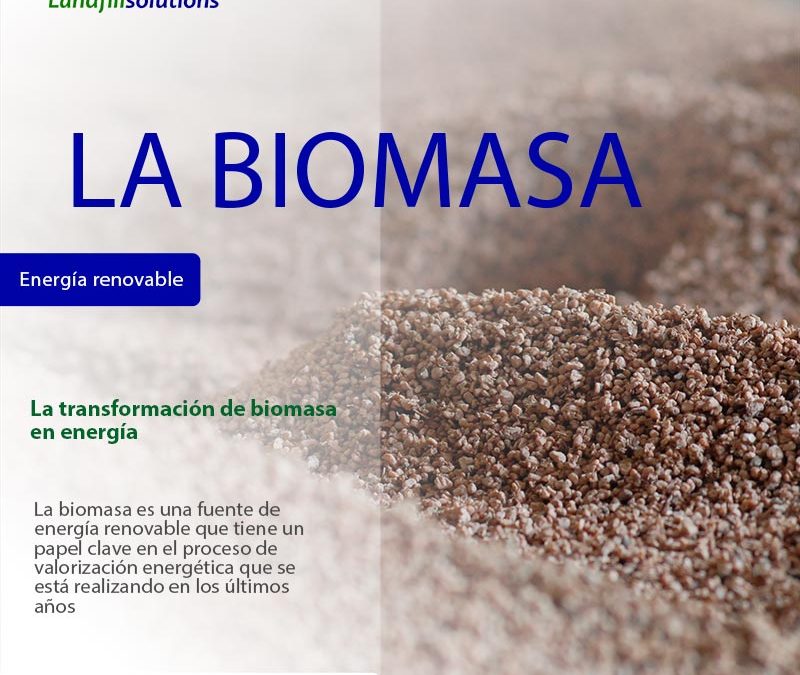 Biomasa como energía renovable