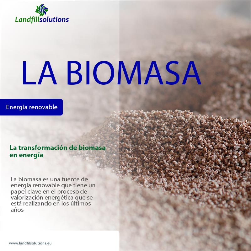 Biomasa como energía renovable
