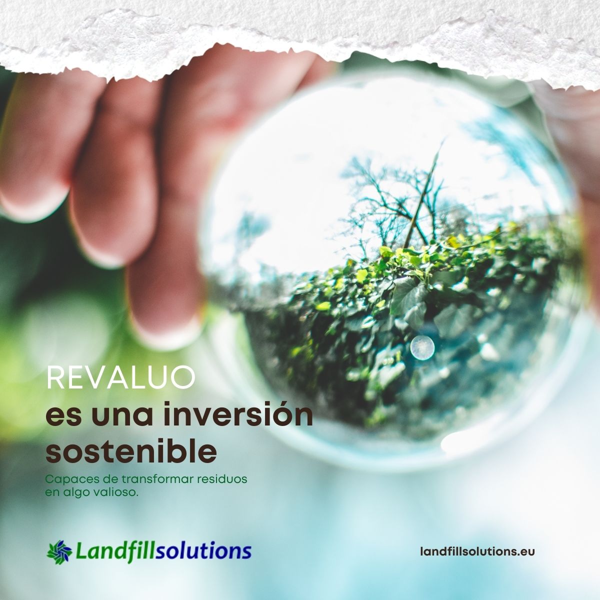 Crecen las inversiones sostenibles destinadas a la transición ecológica