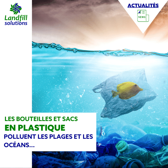 Les bouteilles et sacs en plastique polluent les plages et les océans…