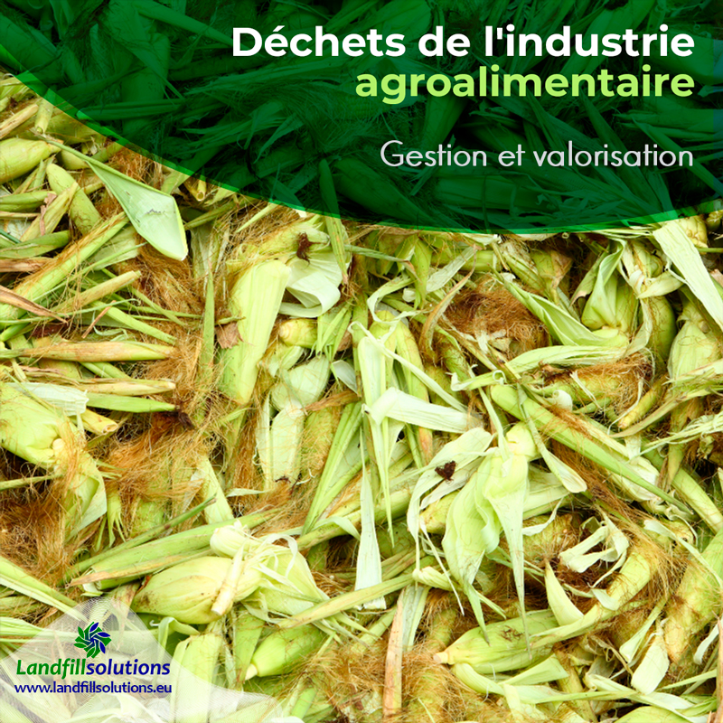 Gestion des déchets dans l’industrie alimentaire